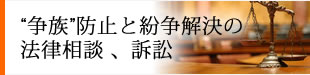 "争族"防止と紛争解決の法律相談 、訴訟